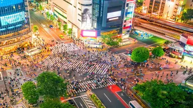 Japonia - Dwie wyspy Samurajów 2025