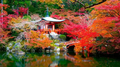 Japonia: Esencja Dalekiego Wschodu