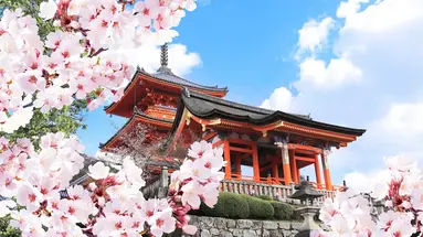 Japonia: Esencja Dalekiego Wschodu