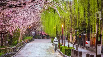Japonia: Esencja Dalekiego Wschodu