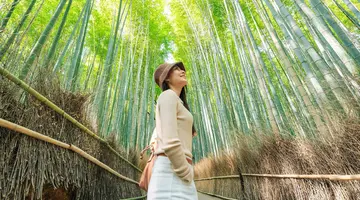 Japonia: Esencja Dalekiego Wschodu