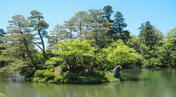 Japonia: Kultura i Piękno