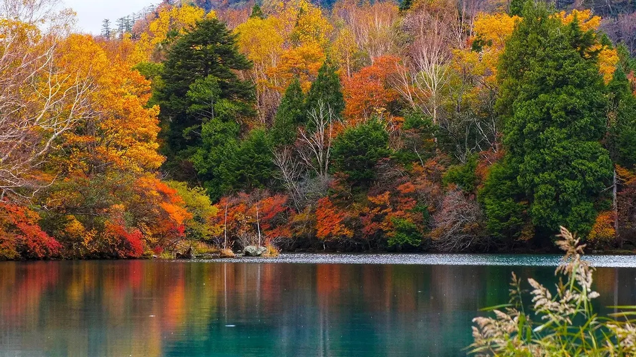 Japonia: Kultura i Piękno