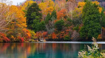 Japonia: Kultura i Piękno