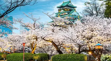 Japonia: Kultura i Piękno
