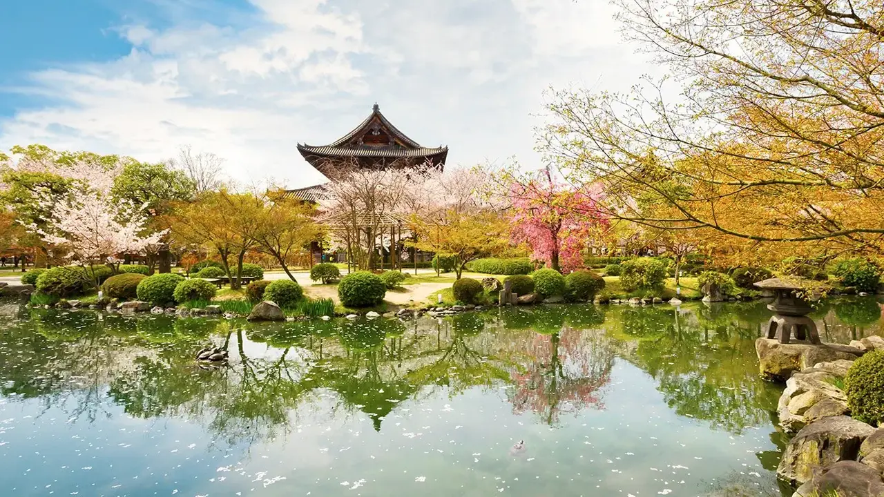 Japonia: Kultura i Piękno