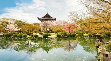 Japonia: Kultura i Piękno