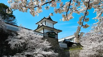 Japonia: Kultura i Piękno