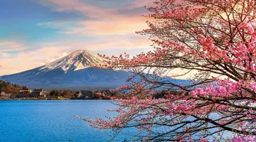 Japonia - Między Kwiatem Wiśni a Błękitem Pacyfiku