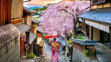 Japonia - Między Kwiatem Wiśni a Błękitem Pacyfiku