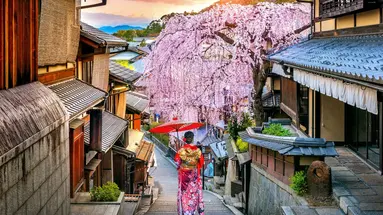 Japonia - Między Kwiatem Wiśni a Błękitem Pacyfiku