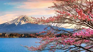 Japonia - Między Kwiatem Wiśni a Błękitem Pacyfiku