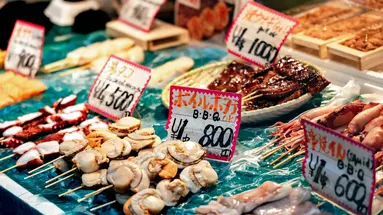 Japonia - Między Kwiatem Wiśni a Błękitem Pacyfiku