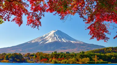 Japonia - Między Kwiatem Wiśni a Błękitem Pacyfiku