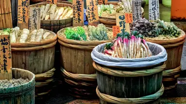 Japonia - Między Kwiatem Wiśni a Błękitem Pacyfiku