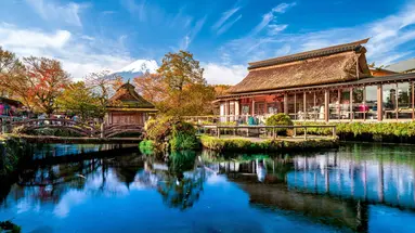 Japonia - Między Kwiatem Wiśni a Błękitem Pacyfiku