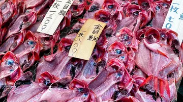 Japonia - Między Kwiatem Wiśni a Błękitem Pacyfiku