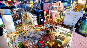 Japonia - Między Kwiatem Wiśni a Błękitem Pacyfiku