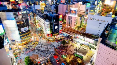Japonia - Między Kwiatem Wiśni a Błękitem Pacyfiku