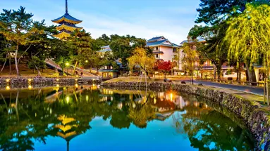 Japonia - Między Kwiatem Wiśni a Błękitem Pacyfiku