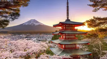 Japonia Ostatnich Samurajów