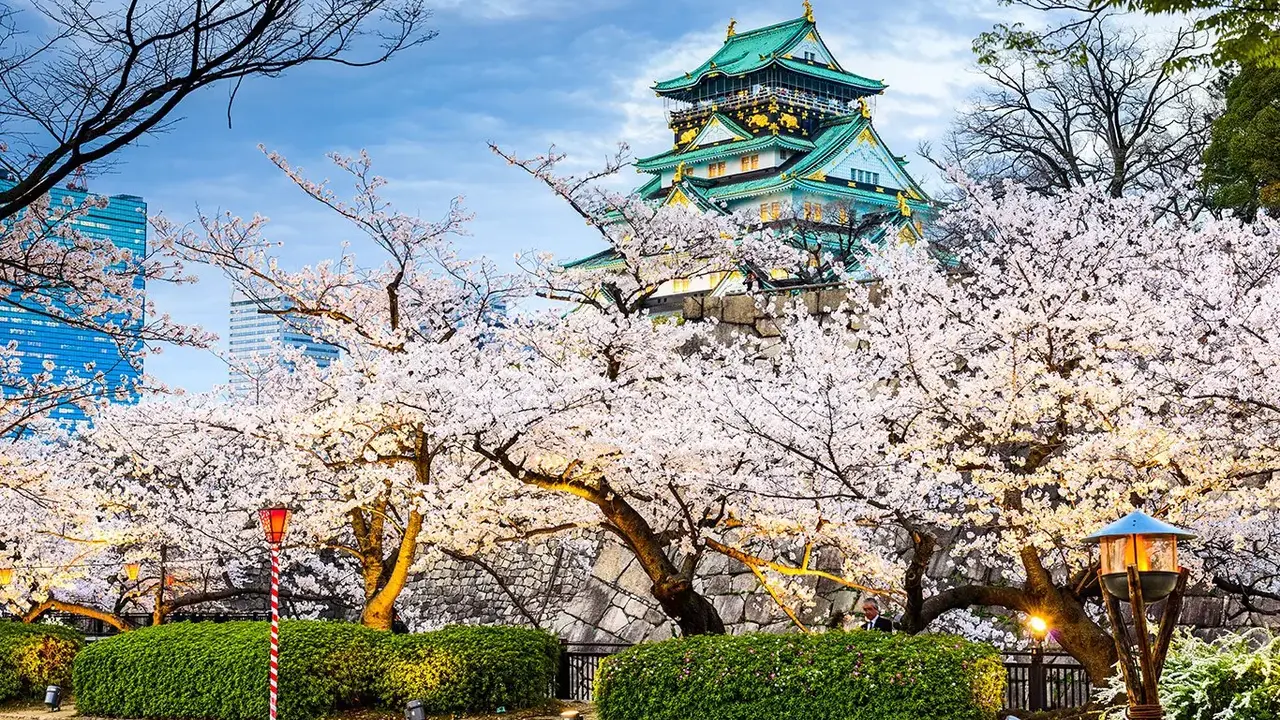 Japonia Ostatnich Samurajów