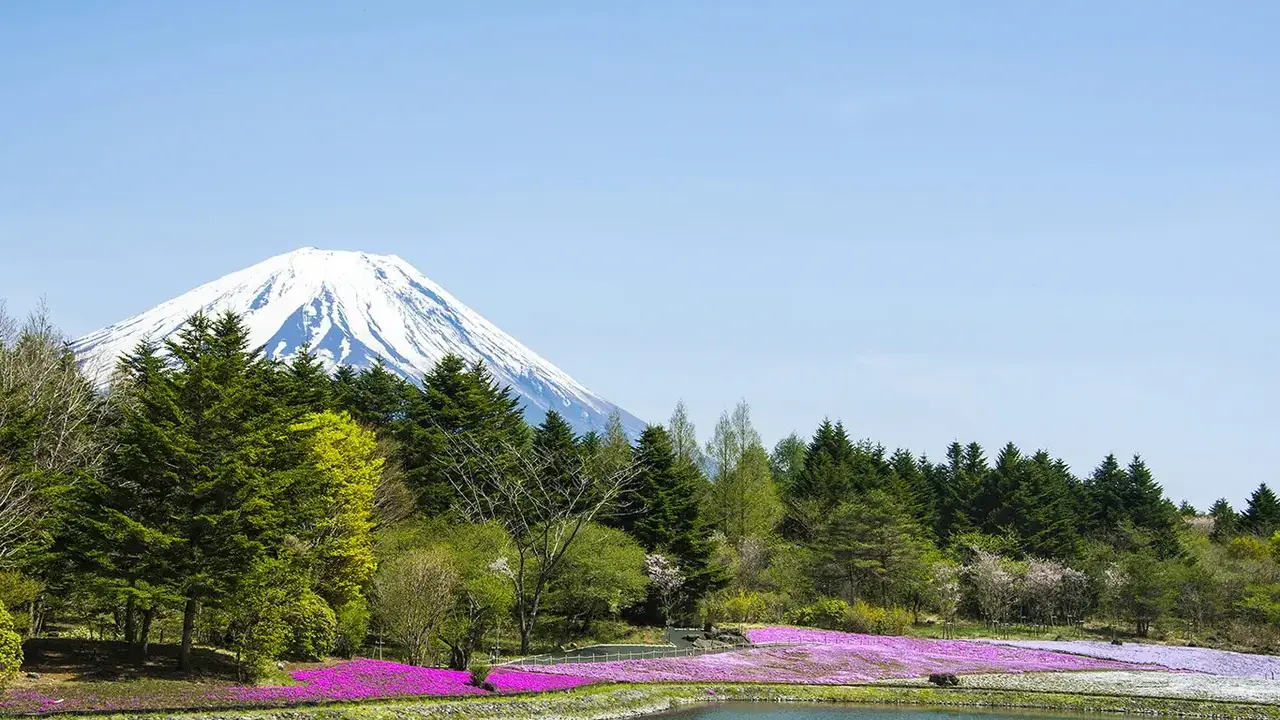 Japonia Ostatnich Samurajów