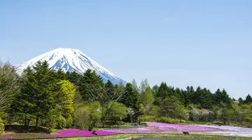 Japonia Ostatnich Samurajów