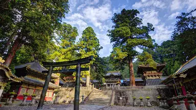 Japonia Ostatnich Samurajów