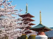 Japonia - w krainie gejsz i samurajów z powrotem z Tokio