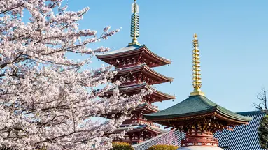 Japonia - w krainie gejsz i samurajów z powrotem z Tokio
