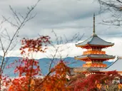 Japonia - w krainie gejsz i samurajów z powrotem z Tokio