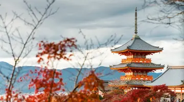 Japonia - w krainie gejsz i samurajów z powrotem z Tokio
