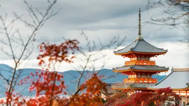 Japonia - w krainie gejsz i samurajów z powrotem z Tokio