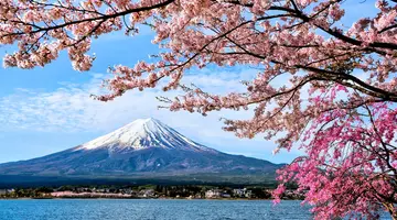 Japonia - w krainie gejsz i samurajów z powrotem z Tokio