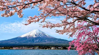 Japonia - w krainie gejsz i samurajów z powrotem z Tokio