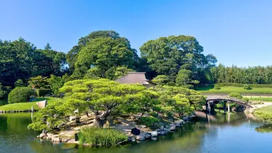 Japonia - w krainie gejsz i samurajów z powrotem z Tokio