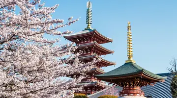 Japonia - w krainie gejsz i samurajów