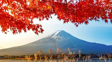 Japonia - w krainie gejsz i samurajów