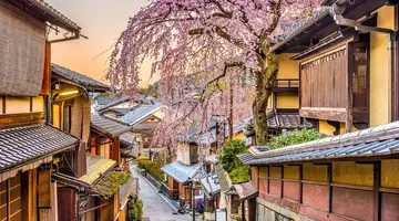 Japonia - w krainie gejsz i samurajów