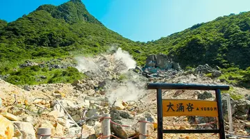 Japonia - wielka podróż do Kraju Kwitnącej Wiśni