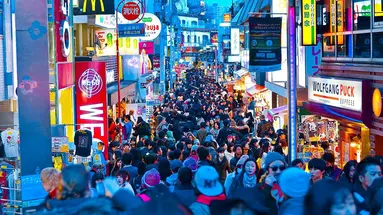 Japonia - wielka podróż do Kraju Kwitnącej Wiśni