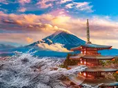 Japonia - wielka podróż do Kraju Kwitnącej Wiśni