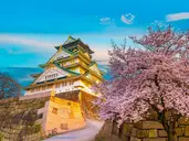 Japonia - wielka podróż do Kraju Kwitnącej Wiśni