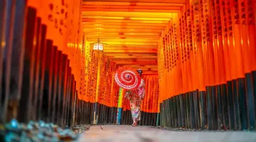 Japonia - wielka podróż do Kraju Kwitnącej Wiśni