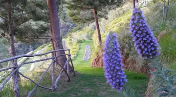 Jardim Atlantico