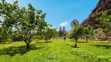 Jardin Tecina