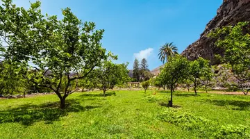 Jardin Tecina