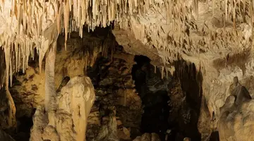 JASKINIA RAJ - 1 dzień