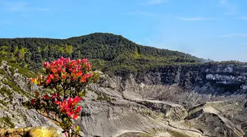 Jawa i Bali - W krainie batiku